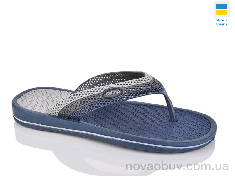 В'єтнамки Lot Shoes 221-2 синій-сірий