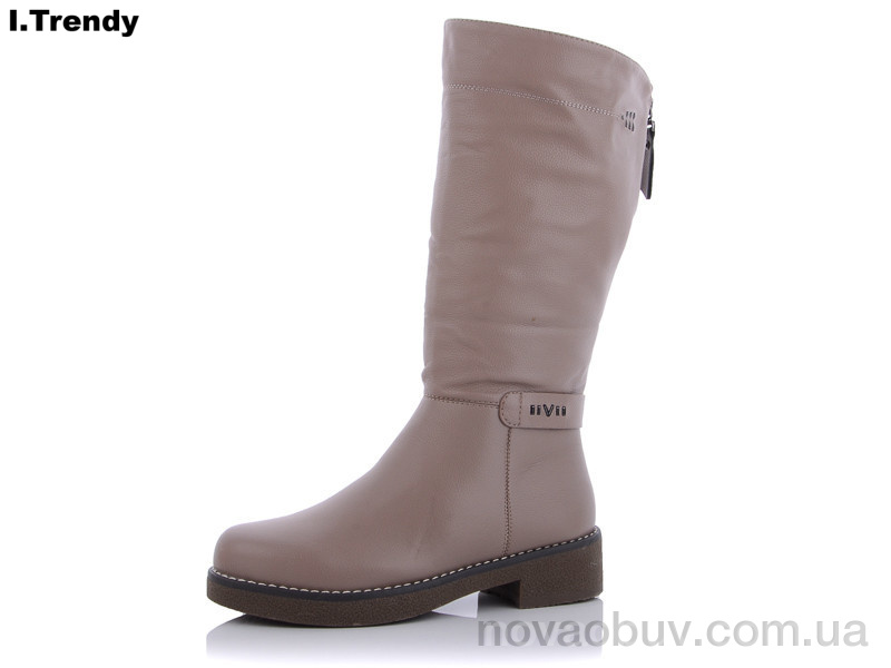 Чоботи Trendy D225-3